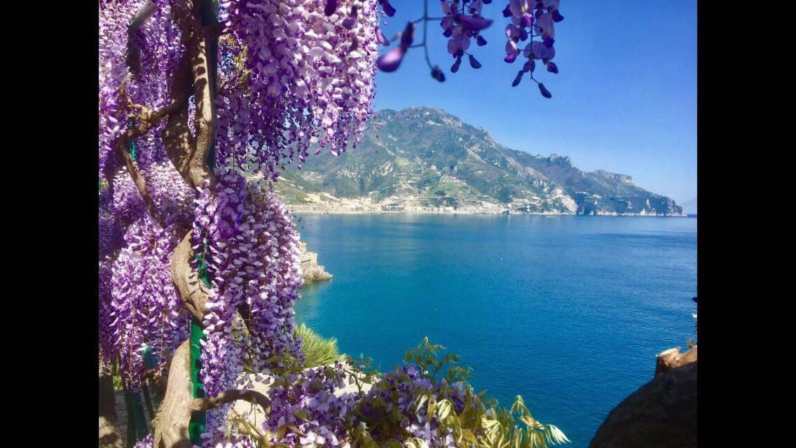 Villa Petit Ludovica Равело Екстериор снимка