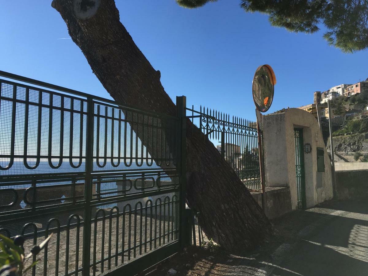 Villa Petit Ludovica Равело Екстериор снимка